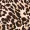 2 in 1 Animal Print High Neck Jumpsuit